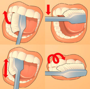 Правильные движения при чистке зубов