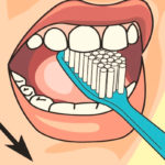 Правильное направление движений при чистке зубов