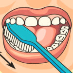 Правильное направление движений при чистке зубов