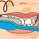 Правильное направление движений при чистке зубов